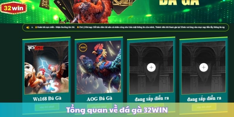 Tổng quan về đá gà 32WIN