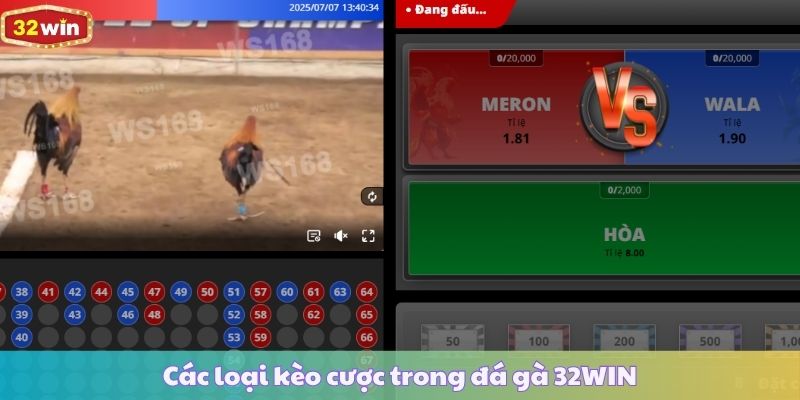 Các loại kèo cược trong đá gà 32WIN