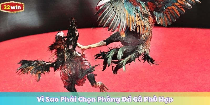 Vì Sao Phải Chọn Phòng Đá Gà Phù Hợp