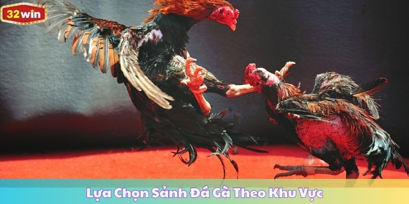 Lựa Chọn Sảnh Đá Gà Theo Khu Vực