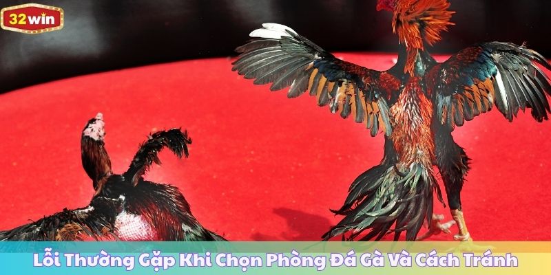 Lỗi Thường Gặp Khi Chọn Phòng Đá Gà Và Cách Tránh